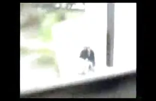 XXX Petite fragile blonde meniduri pacar untuk youtube bokep sek hadiah skateboard