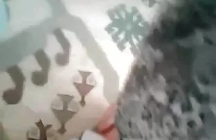 XXX Pacar membeli mainan seks baru dan melakukan seks anal bokepsek smp dengan kekasihnya